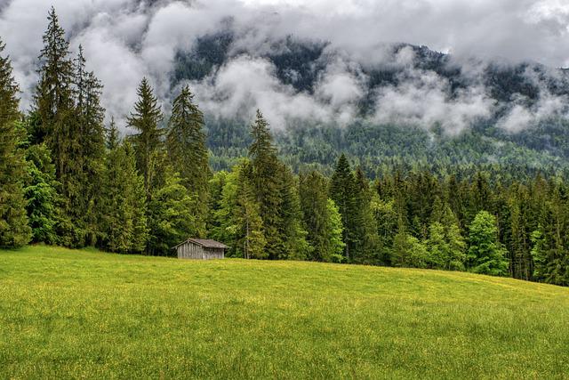 Hütte vor dem Wald und Wolken